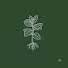 DEH54wdQBbk-channel-avatar-Old Glory Gardens