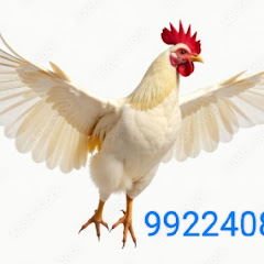 Murgon ki video