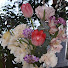 Channel Image