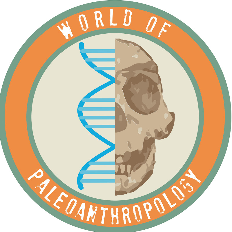World of Paleoanthropology 