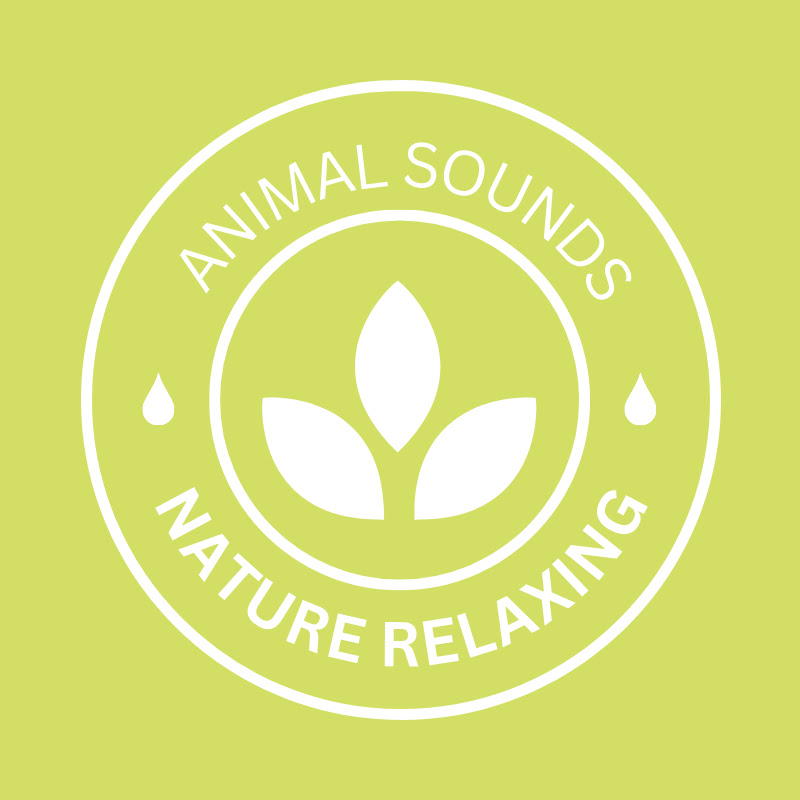 Relaxing Animal Sounds