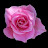 @brendar-b310