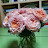 @amour-p3q