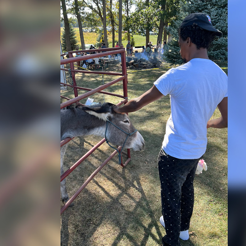 Hire Nino Editz — Entertainment YouTube creator for sponsorships