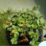 アウトドアファミリーの自由帳