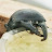 @爆食-p2h