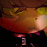kIAD2kkncz8-channel-avatar-SHENZII