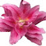 JL5zANw7jfQ-channel-avatar-bee
