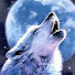 klHQlE8tv6Q-channel-avatar-•Icy Moon Wolf•
