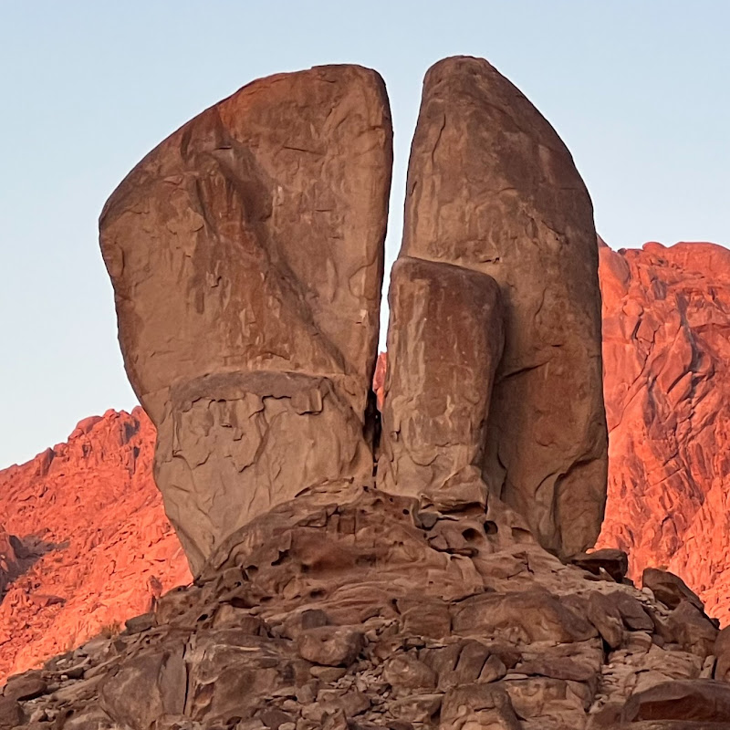 Discovered Media Logo