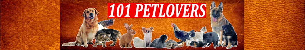 101 Pet Lovers यूट्यूब चैनल अवतार