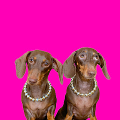 Chapitosiki YouTube channel avatar