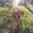@adamwalsh6334 Avatar