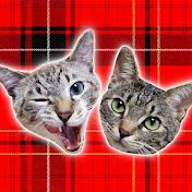 かれんともみじの「快適猫暮らし」