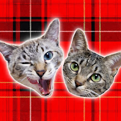 かれんともみじの「快適猫暮らし」