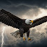 4GgWZcl_pRM-channel-avatar-Fé que Move