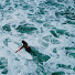 AvozEHsxqPQ-channel-avatar-Saltwater Traveller