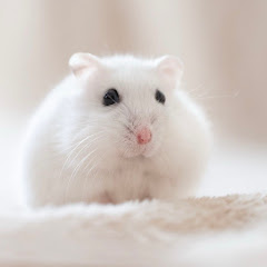 純白の天使ラフレシア