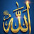 @nahedhassn8763