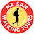 MR Sam Walking Tours