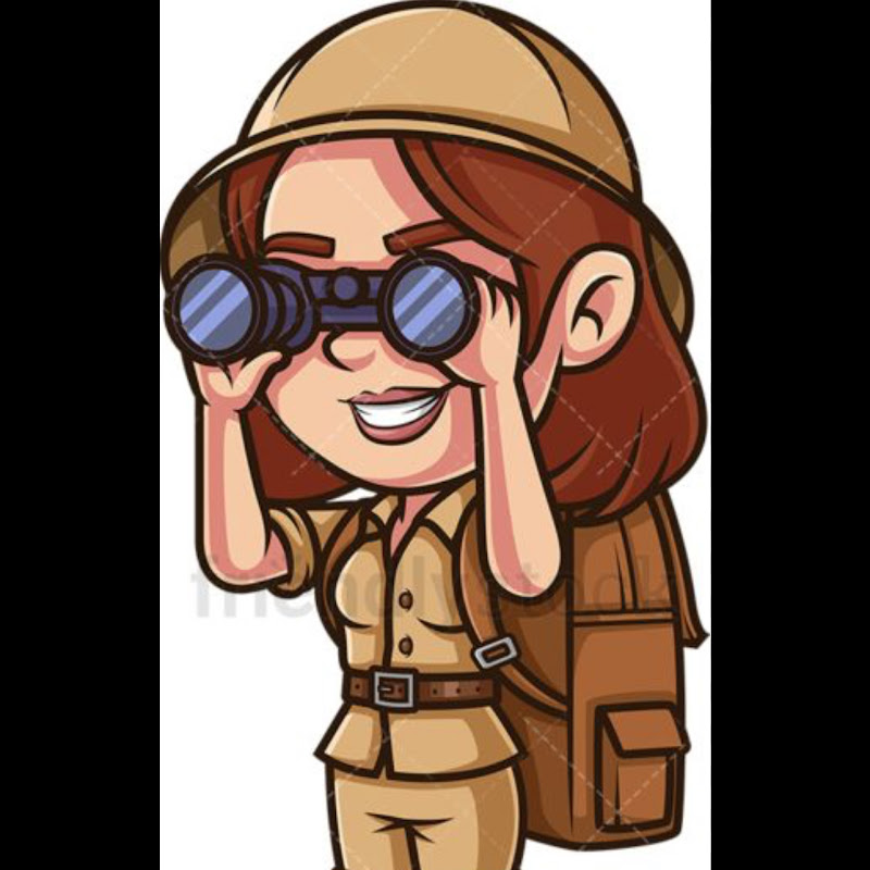 Rookie's explorer 
