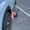 Автор