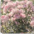 @روان_ر1