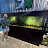 @PhelpsAquatics Avatar