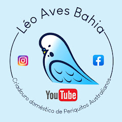Léo Aves Bahia channel logo