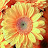 @Jazmnsky Avatar