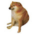 bHW4kDoFaMk-channel-avatar-SkippyPotato
