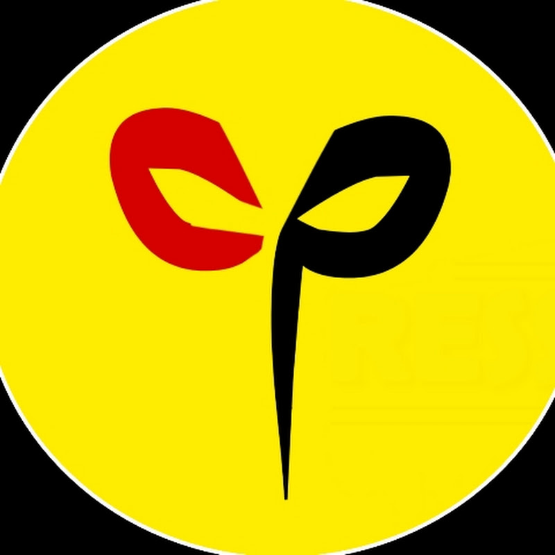 CP FAMILY SHOW - MovieRecap