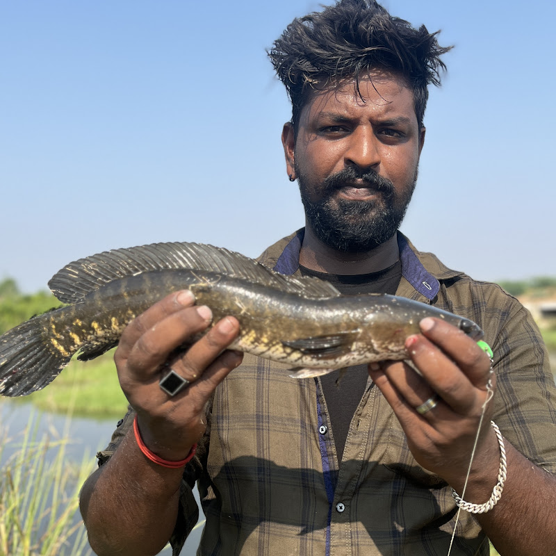 snakehead fishing Tamil 