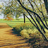 NrZA9xazGnU-channel-avatar-Go Scenic View