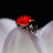 @Wisdom-99e's avatar