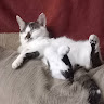 Автор