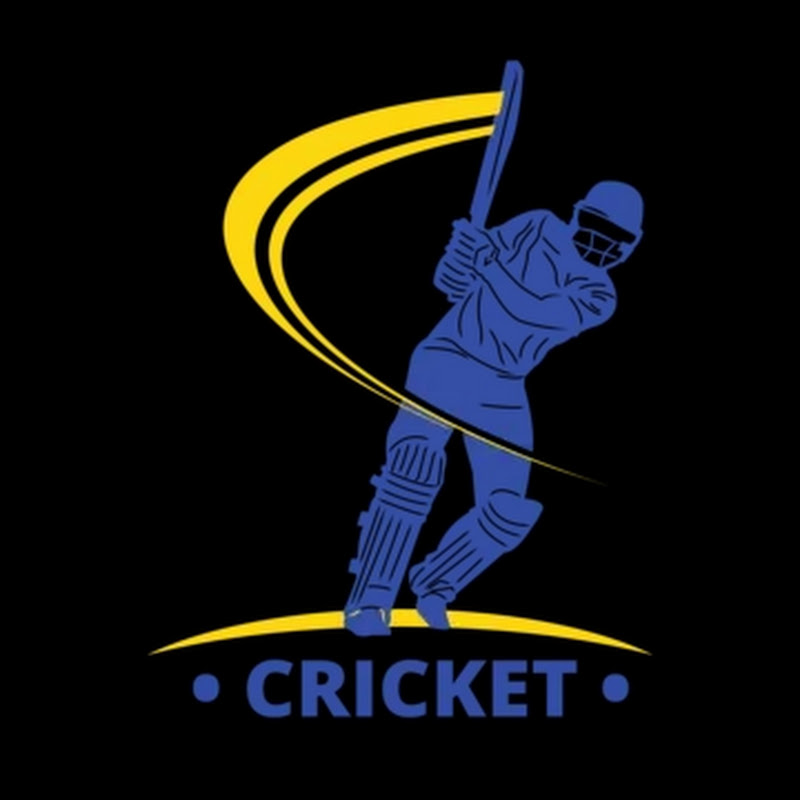 Cricket match Crazy