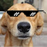mj7tQx__L9E-channel-avatar-Caramelo Recaps