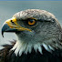 Elf4yBnCzMM-channel-avatar-Ebunayira