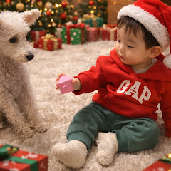 お父さんの記録