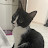 @RealPlotora Avatar