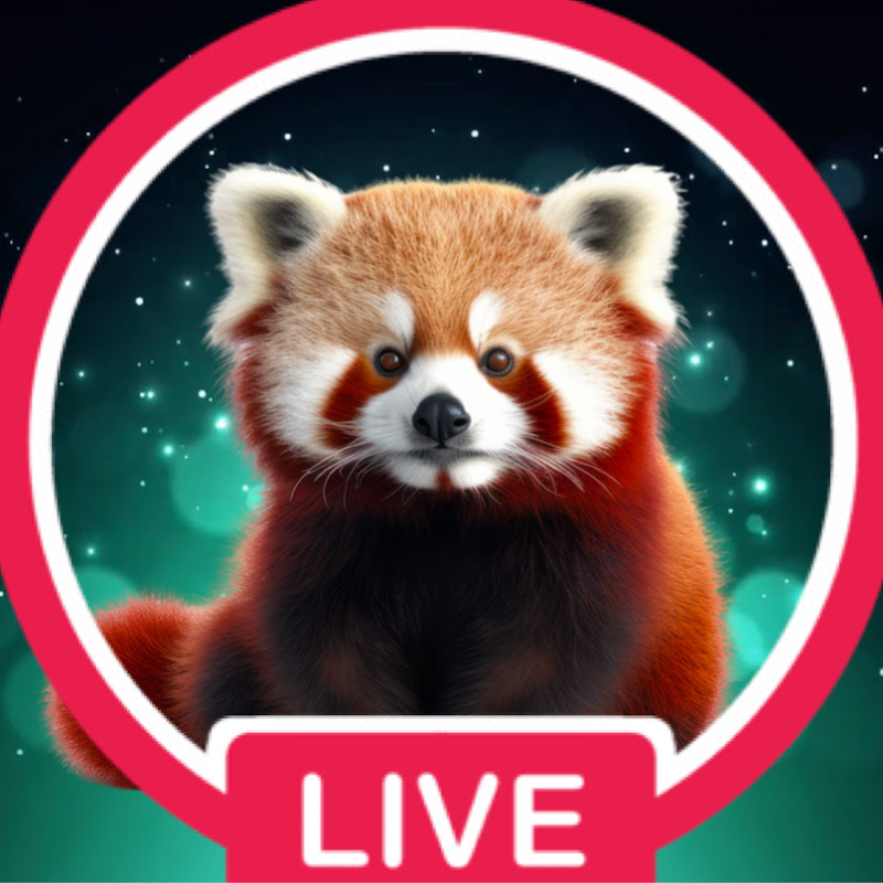 Red Shiny Panda Logo