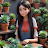 Fairy_world of succulents