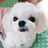 @두부러브