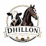 9-8toSSRTHY-channel-avatar-Dhillon Dairy And Stud Farm