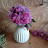 @Liya-u2i