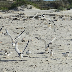 Luisa's Ray of Sunshine@23 channel thumbnail