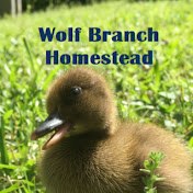 Wolf Branch Homestead