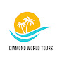 Diamond World Tours logo