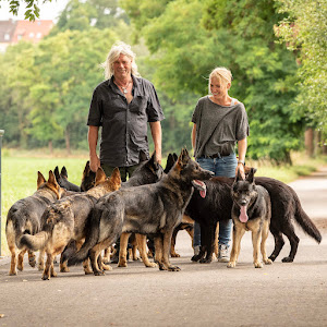 UCVq6FATQIzv8QSX3RzMLlkA YouTube channel image